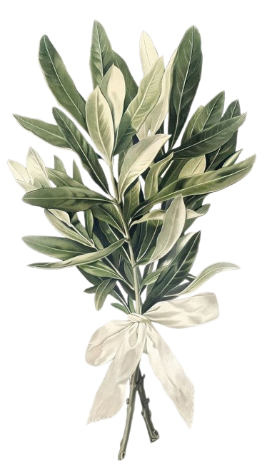 Decorative botanical element